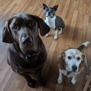 Meet your Posher, Rachel